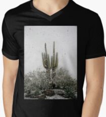 Arizona Snowstorm Men's V-Neck T-Shirt