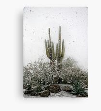 Arizona Snowstorm Canvas Print