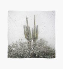 Arizona Snowstorm Scarf