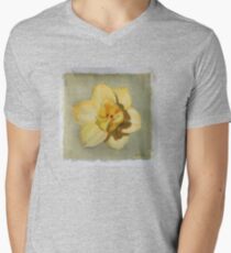 cheerfulness Men's V-Neck T-Shirt