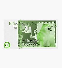 Five Thousand Dogecoin Photographic Print