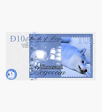 Ten Thousand Dogecoin Photographic Print