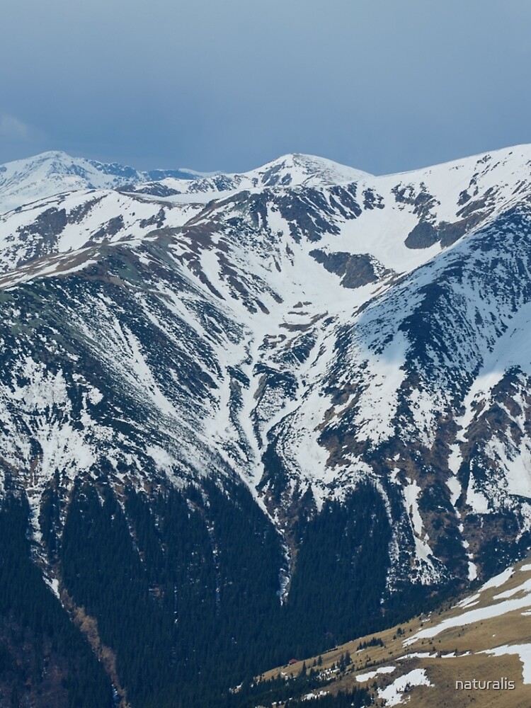 Mountain range panorama by naturalis