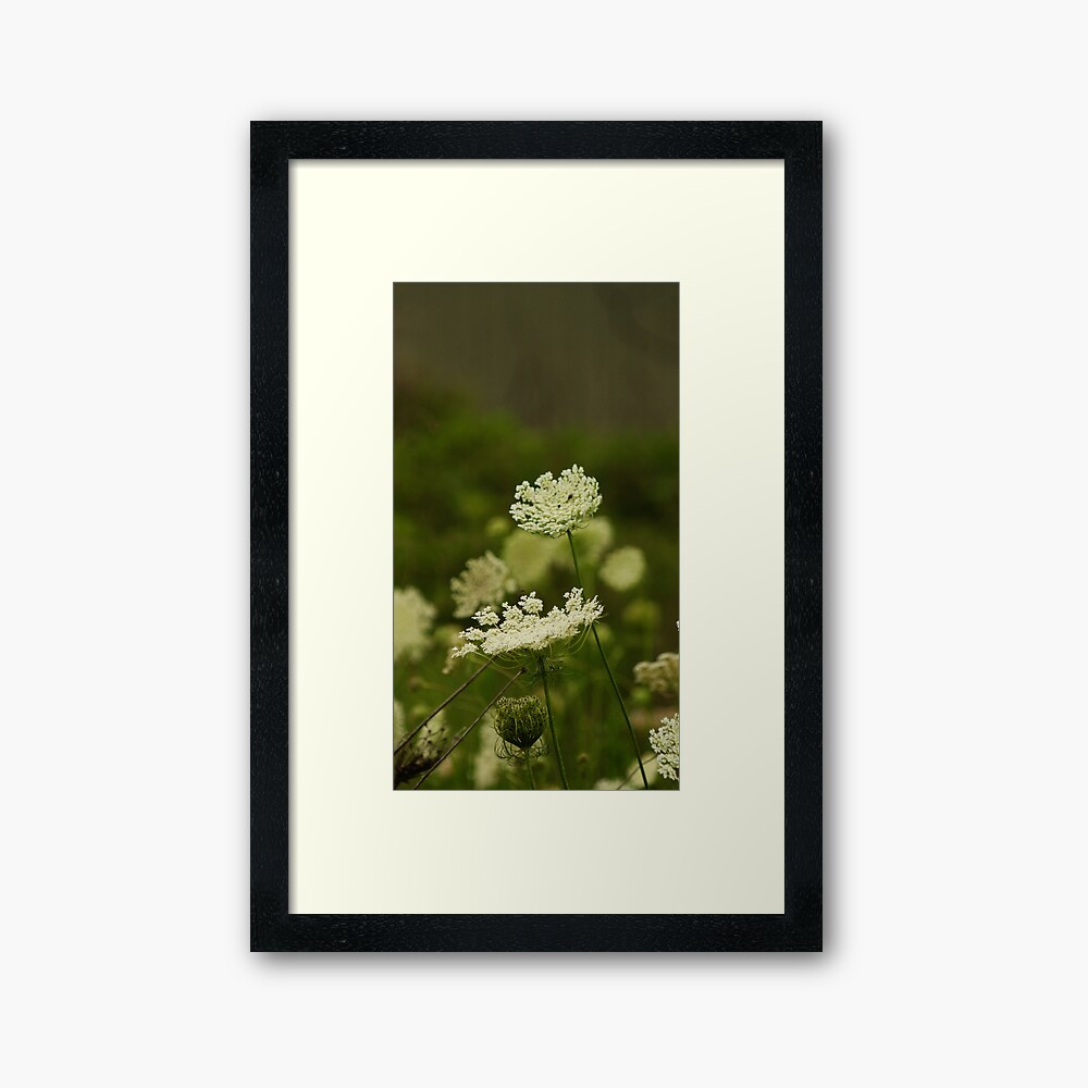 Chin Up Framed Art Print