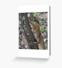 Definetly A Climber Greeting Card