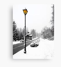Snow Scene Canvas Print
