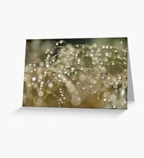 Bokeh Morning Greeting Card