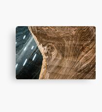 Salt Mine Canvas Print