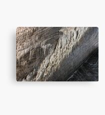 Salt Mine Canvas Print