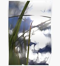 Grasses at the shore of a glittering lake Poster