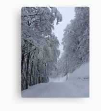Nozawa Onsen Canvas Print