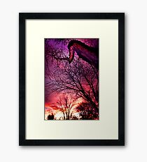 Vincent Framed Print