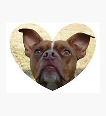 Red Nose Pit Photographic Print