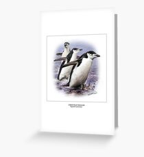 CHINSTRAP PENGUIN 2 Greeting Card