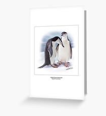 CHINSTRAP PENGUIN 4 Greeting Card
