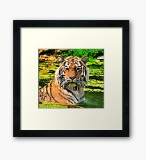 Bathing Tiger Framed Print