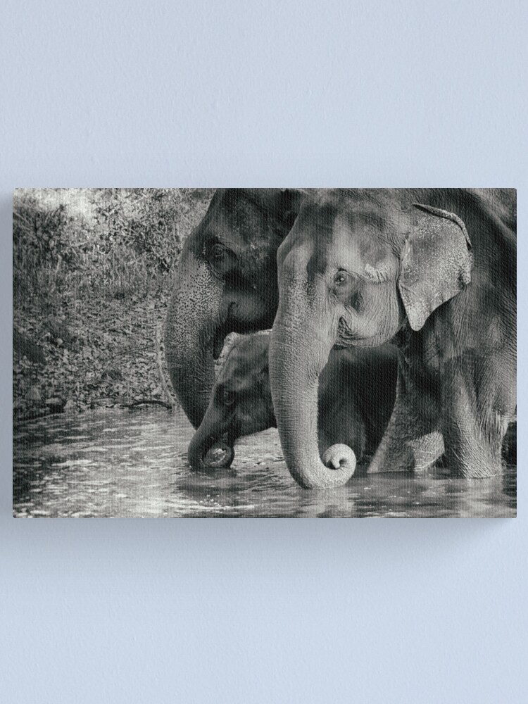 Alternate view of the family Canvas Print