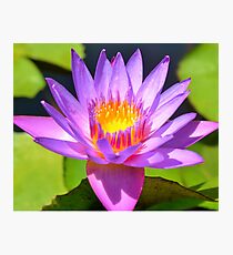 Joyous Photographic Print