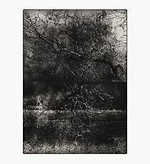 trunks Photographic Print
