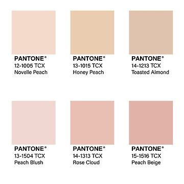 Pink Pantone Color Swatch Pack Sticker for Sale by jadeillustrates