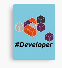 Developer Canvas Print