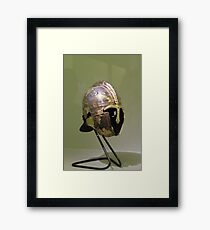 Helmet Framed Print