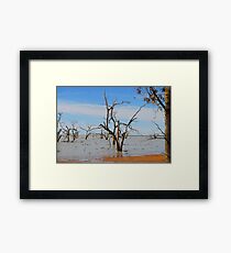 Menindee Lakes Framed Print