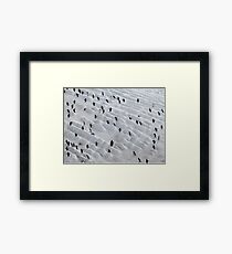 Penguin Highway Antarctic Circle Framed Print