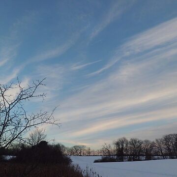 Artwork thumbnail, Winter - Evening Sky, Great Meadow by JimLeggeArt