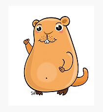 GroundHog Kawaii Photographic Print