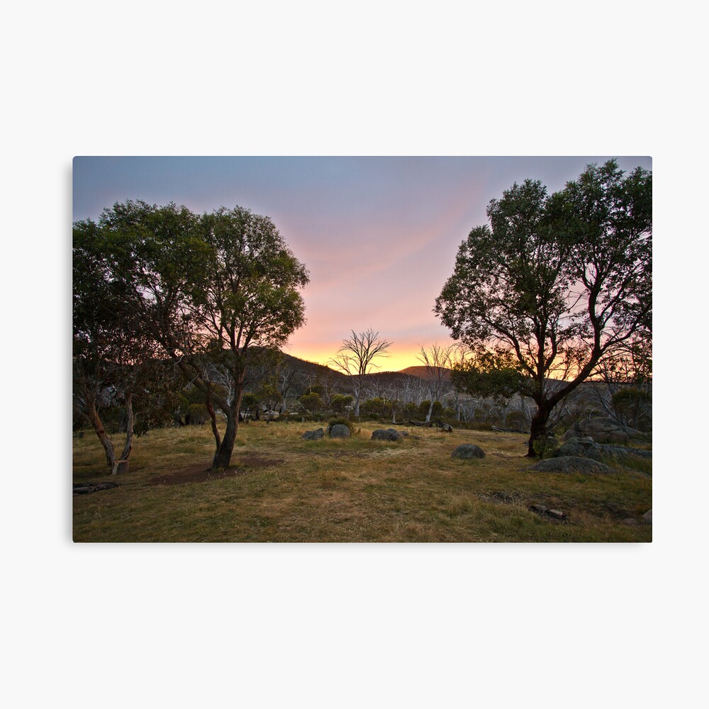 Morning Canvas Print