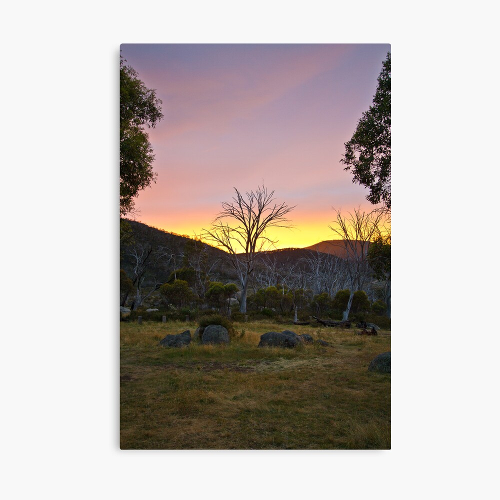 Morning Canvas Print