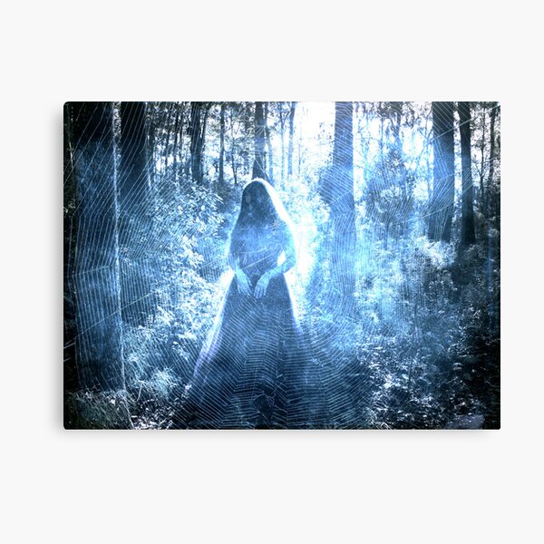 Black Widow Canvas Print