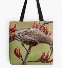 Australian Wattle Bird Feeding. Tote Bag