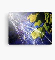 Leaves Dancing in the Magic of Night Canvas Print
