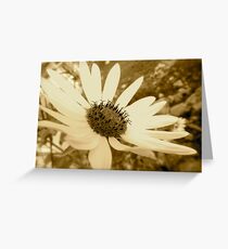 Sunflower Greeting Card