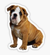 Dog - Bulldog! Sticker