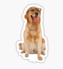 Dog with glasses Sticker