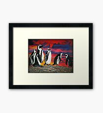 African Penguins Framed Print