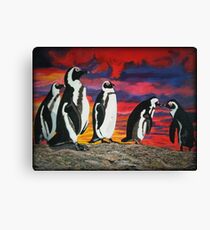 African Penguins Canvas Print
