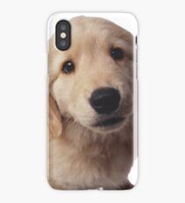 Puppy! iPhone Case