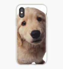 Puppy! iPhone Case