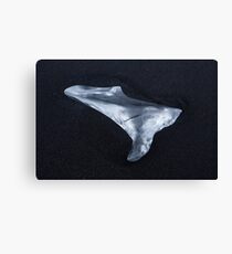 Silver Ice Canvas Print