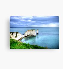 Old Harrys Rocks Canvas Print