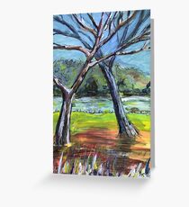 Sketching Trees Greeting Card
