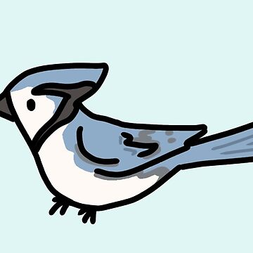 Blue Jay Doodle Tiny and Cute Pin for Sale by bassoongirl123