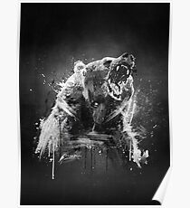 B-R Poster