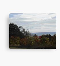 Manifestations of Eternity, 2-106 Canvas Print