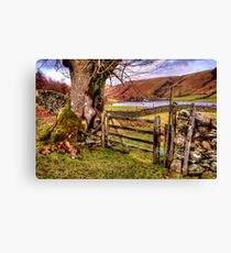 Watendlath Canvas Print