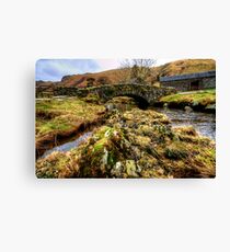 Watendlath Canvas Print